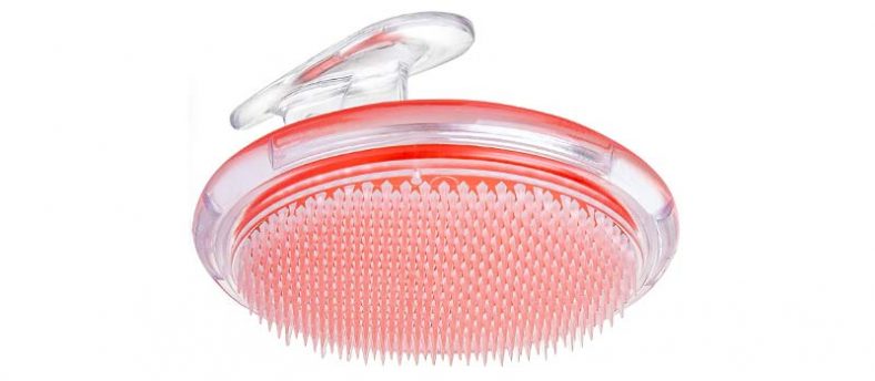 10 Best Body Exfoliator Brushes For 2024 - Product Reviews