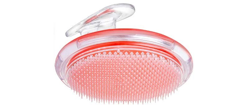 Dylonic Exfoliating Body Brush