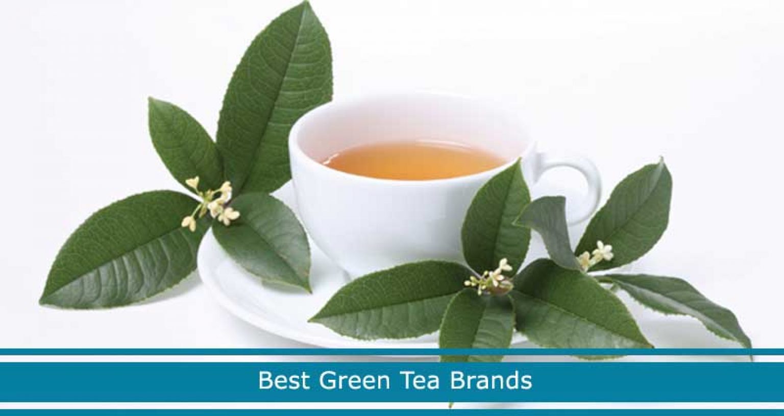 10 Best Green Tea Brands In 2024 High Quality Weight Loss   Best Green Tea Brands 1536x816 