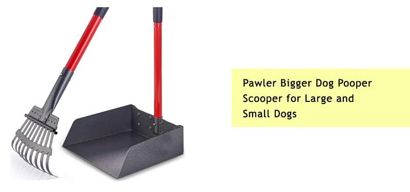 Pawler Rake and Tray Pooper Scooper
