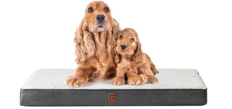 EHEYCIGA Orthopedic Washable Dog Bed