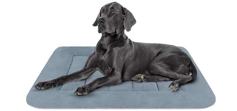 Hero Dog Large Dog Bed