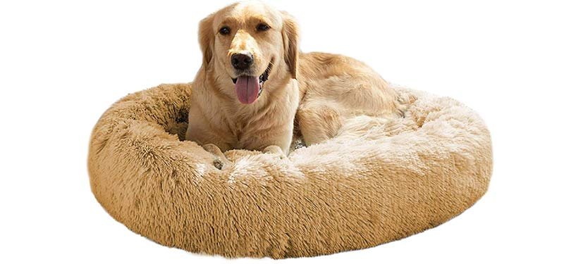 MFOX Calming Dog Bed