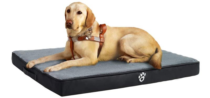 Utotol Orthopedic Dog Bed