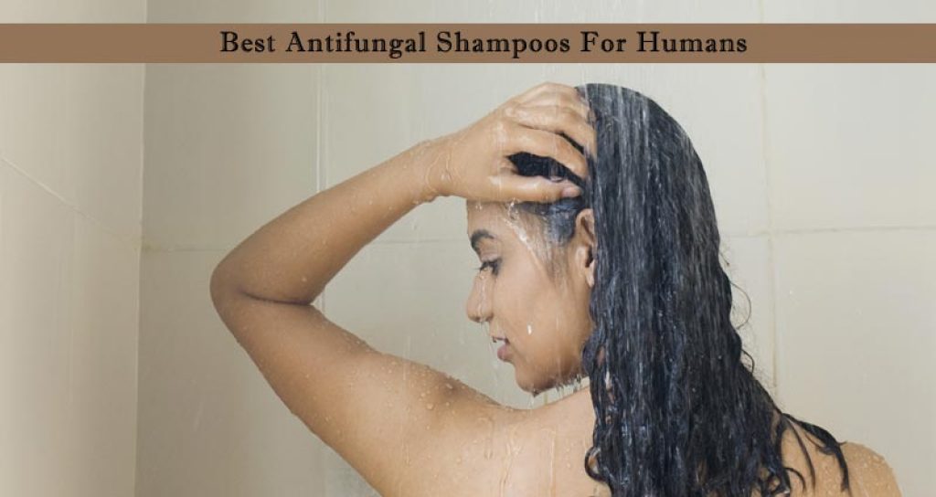 10-best-antifungal-shampoos-for-humans-in-2024