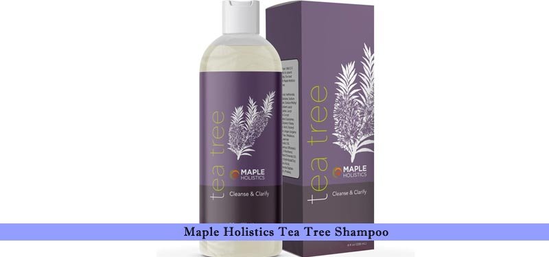 Maple Holistics Tea Tree Shampoo